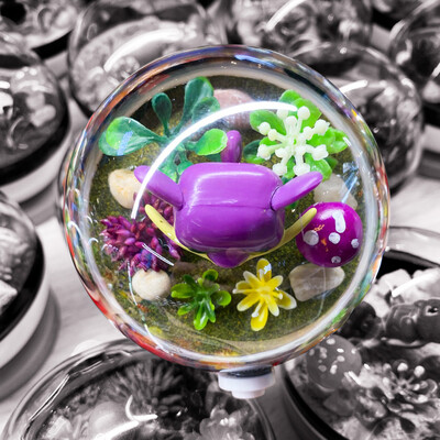 Rattata Terrarium