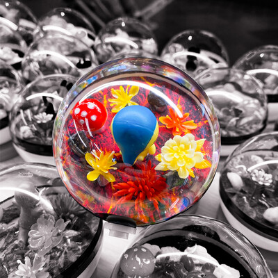 Cyndaquil Terrarium