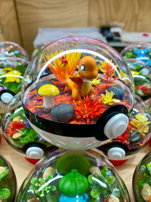 Charmander terrarium