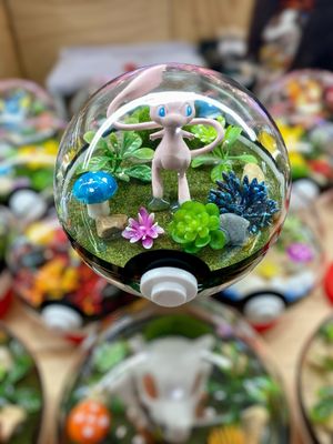 Mew terrarium