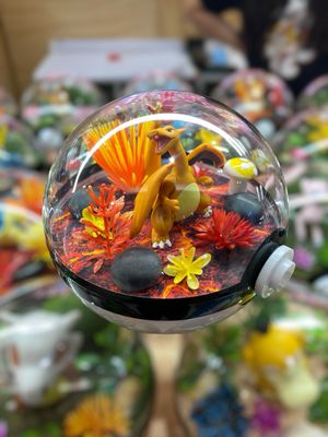 Charizard terrarium