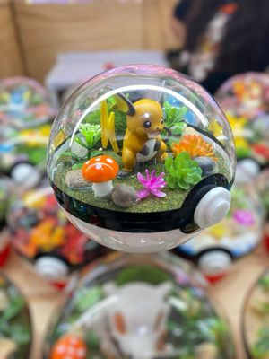 Raichu terrarium