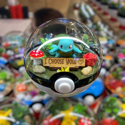 Squirtle &quot;I Choose You&quot; terrarium