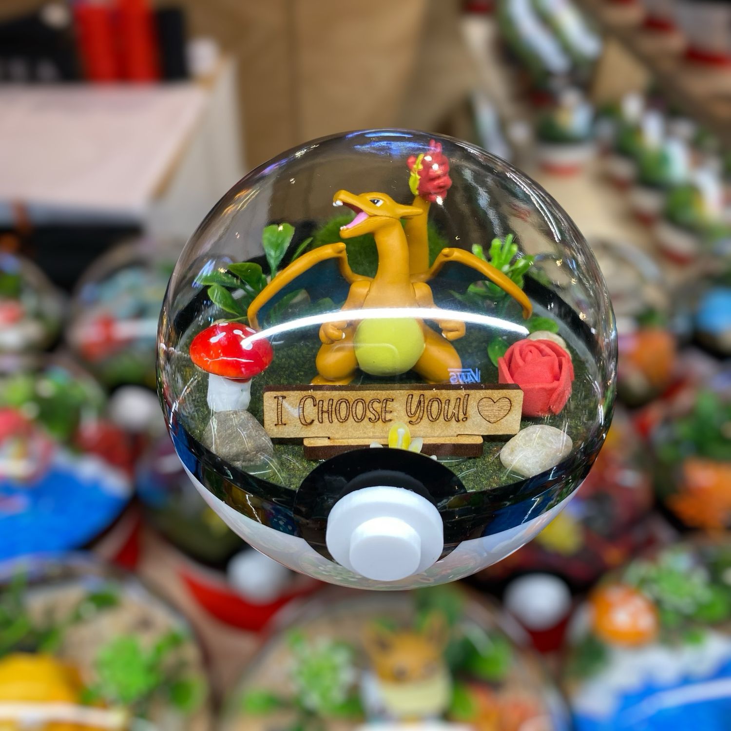 Charizard &quot;I Choose You&quot; terrarium