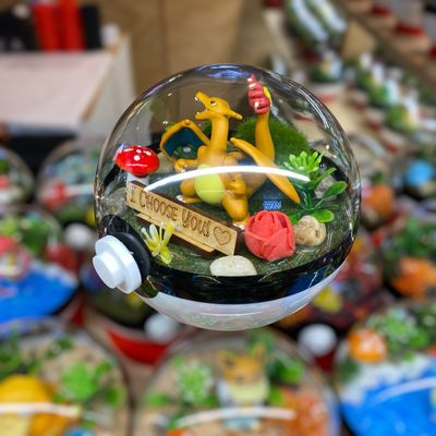 Charizard "I Choose You" terrarium