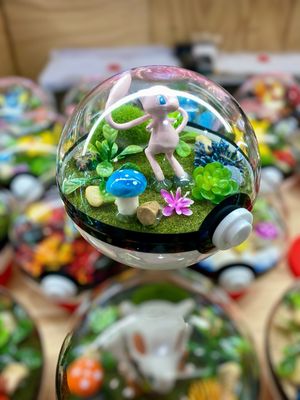 Mew terrarium