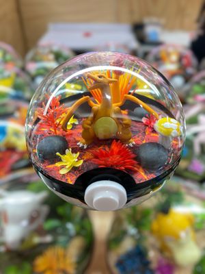 Charizard terrarium