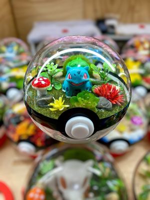 Bulbasaur terrarium