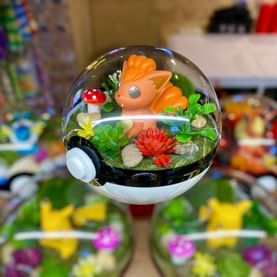 Vulpix terrarium