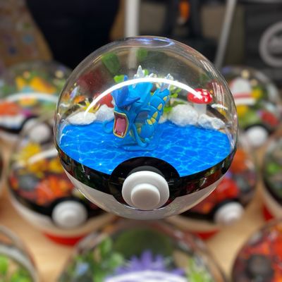 Gyarados terrarium