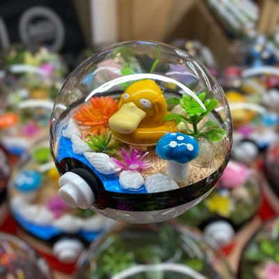 Psyduck terrarium
