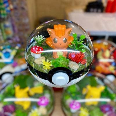 Vulpix terrarium