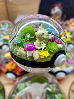 Mimikyu terrarium