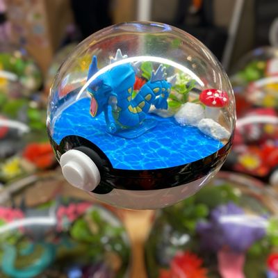 Gyarados terrarium