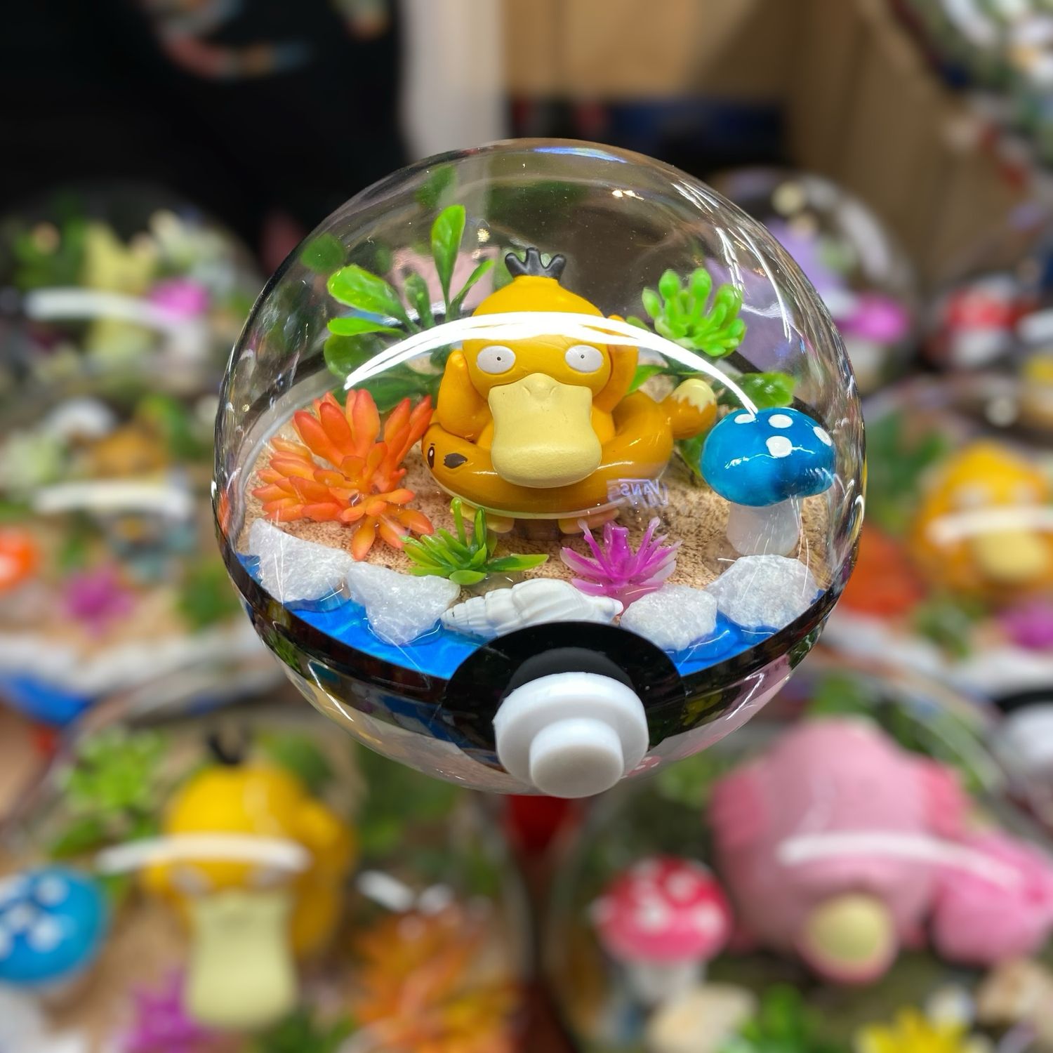 Psyduck terrarium