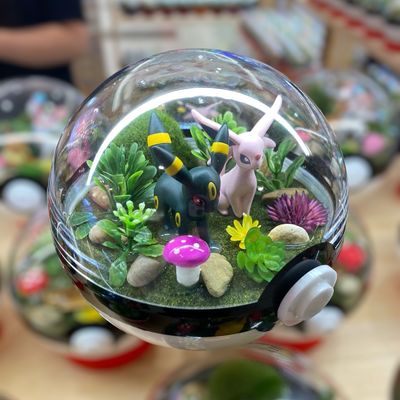 Espeon And Umbreon terrarium