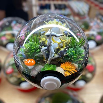 Arceus Terrarium