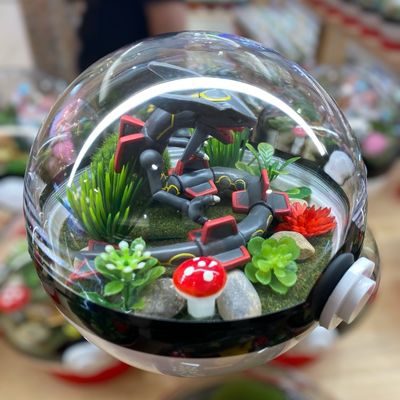 Shiny Rayquaza Terrarium