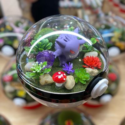 Gengar Shadow Ball Terrarium