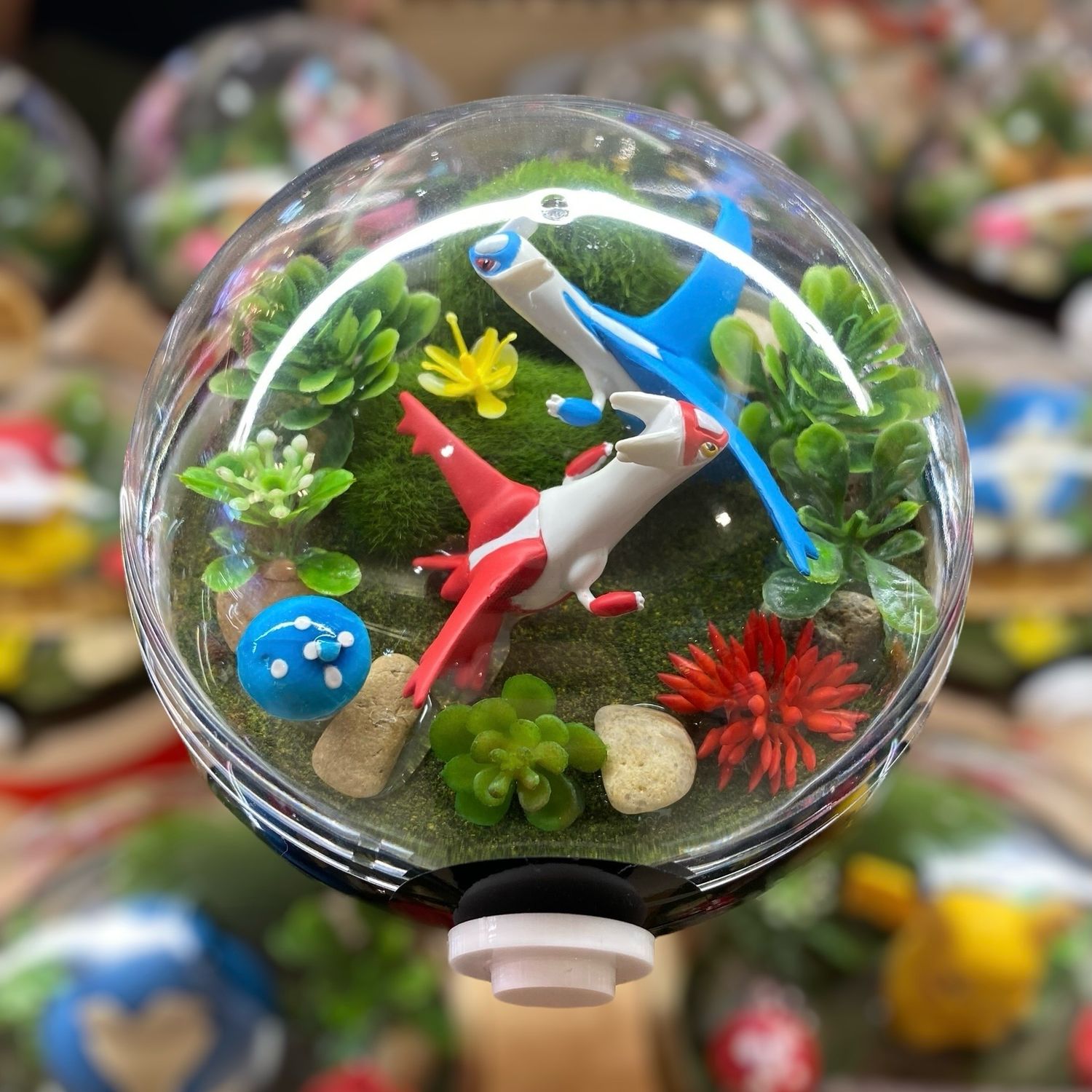 Latios And Latias Terrarium
