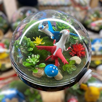 Latios And Latias Terrarium