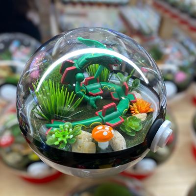 Rayquaza Terrarium