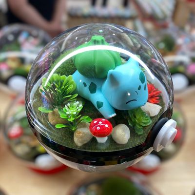 Bulbasaur Terrarium