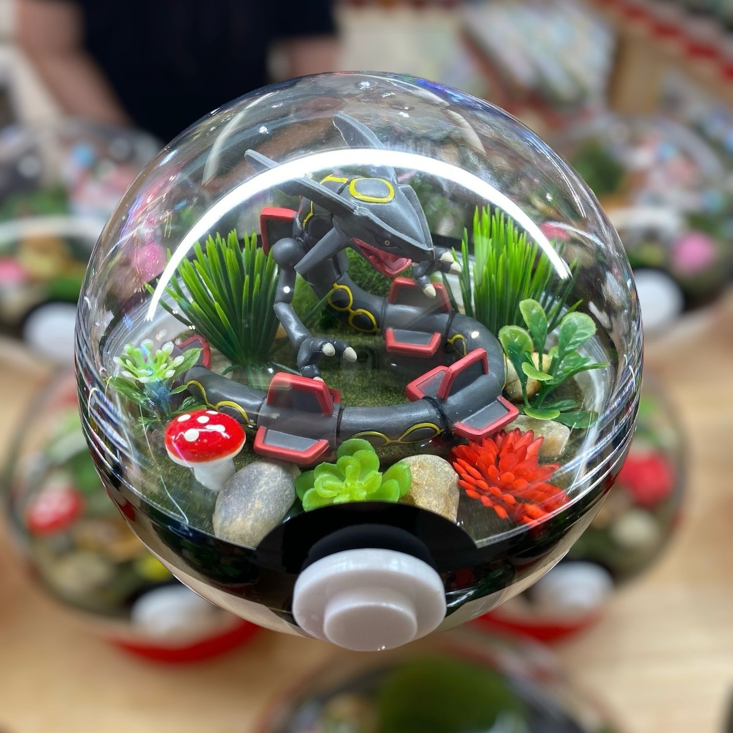 Shiny Rayquaza Terrarium