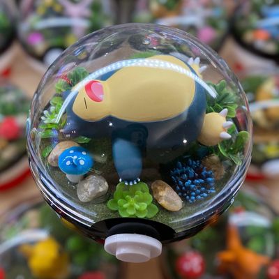 Snorlax Terrarium