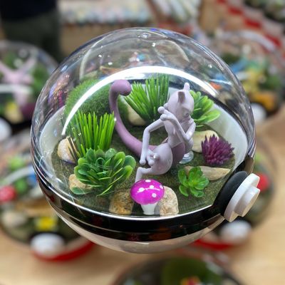 Mewtwo Terrarium