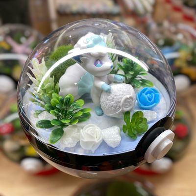 Alolan Vulpix Terrarium