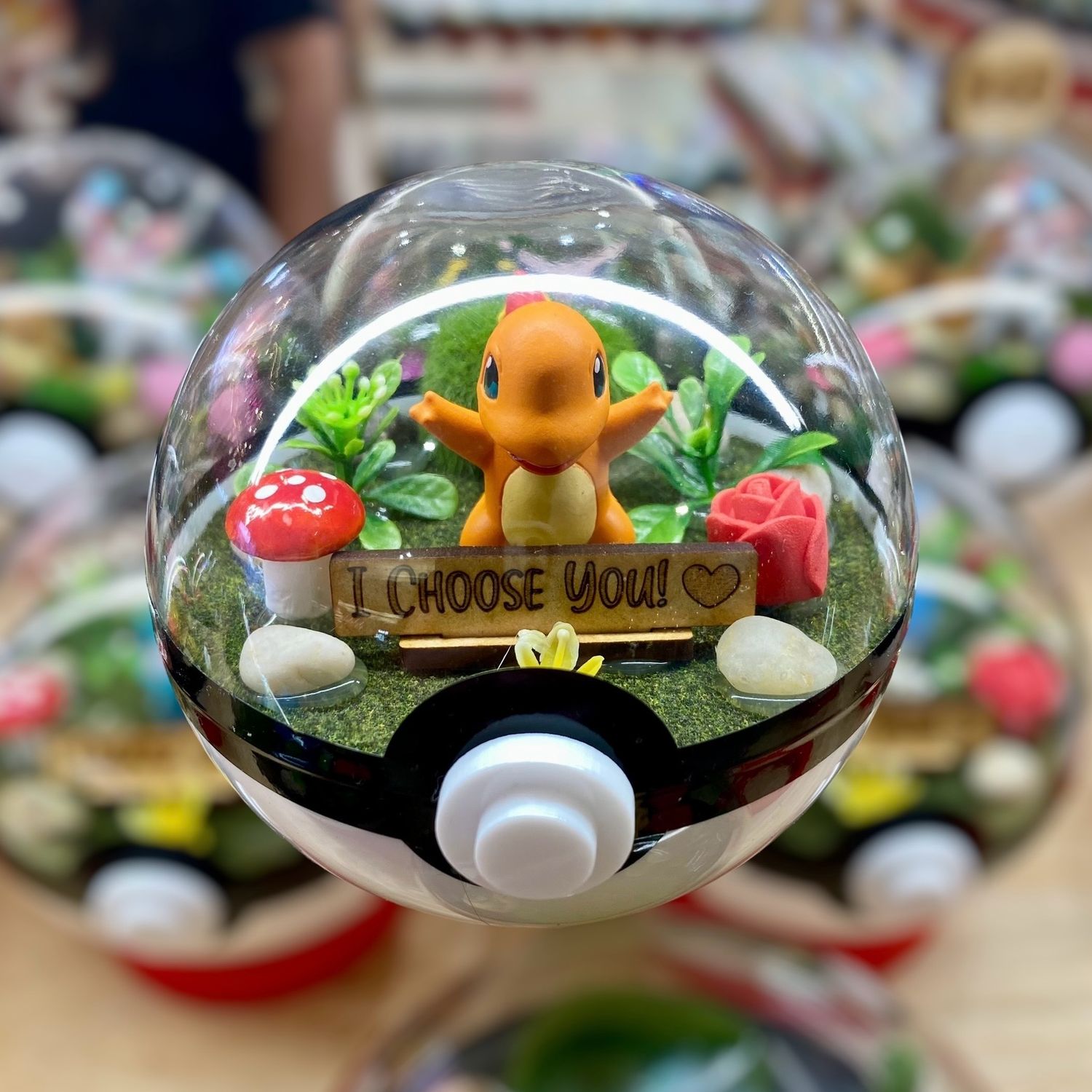 Charmander &quot;I Choose You&quot; terrarium