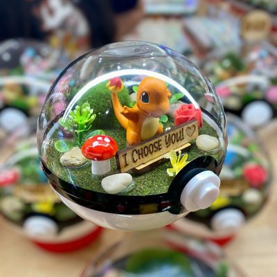 Charmander "I Choose You" terrarium