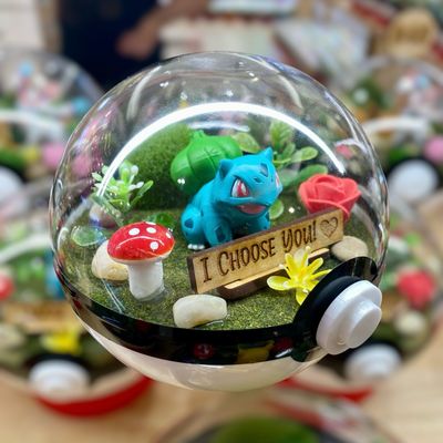 Bulbasaur "I Choose You" terrarium