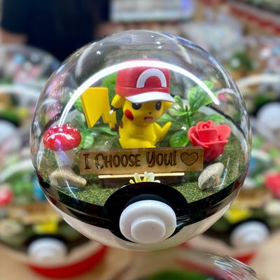 Pikachu &quot;I Choose You&quot; terrarium