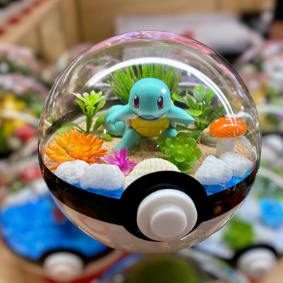 Squirtle terrarium