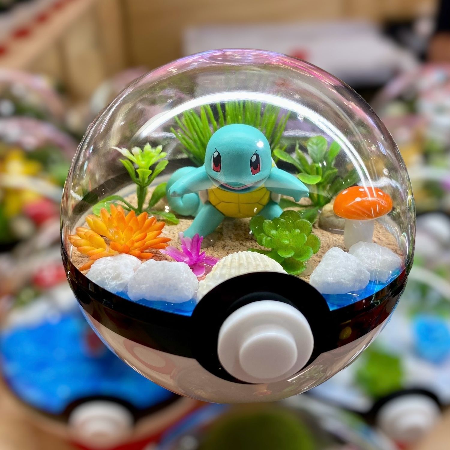 Squirtle terrarium