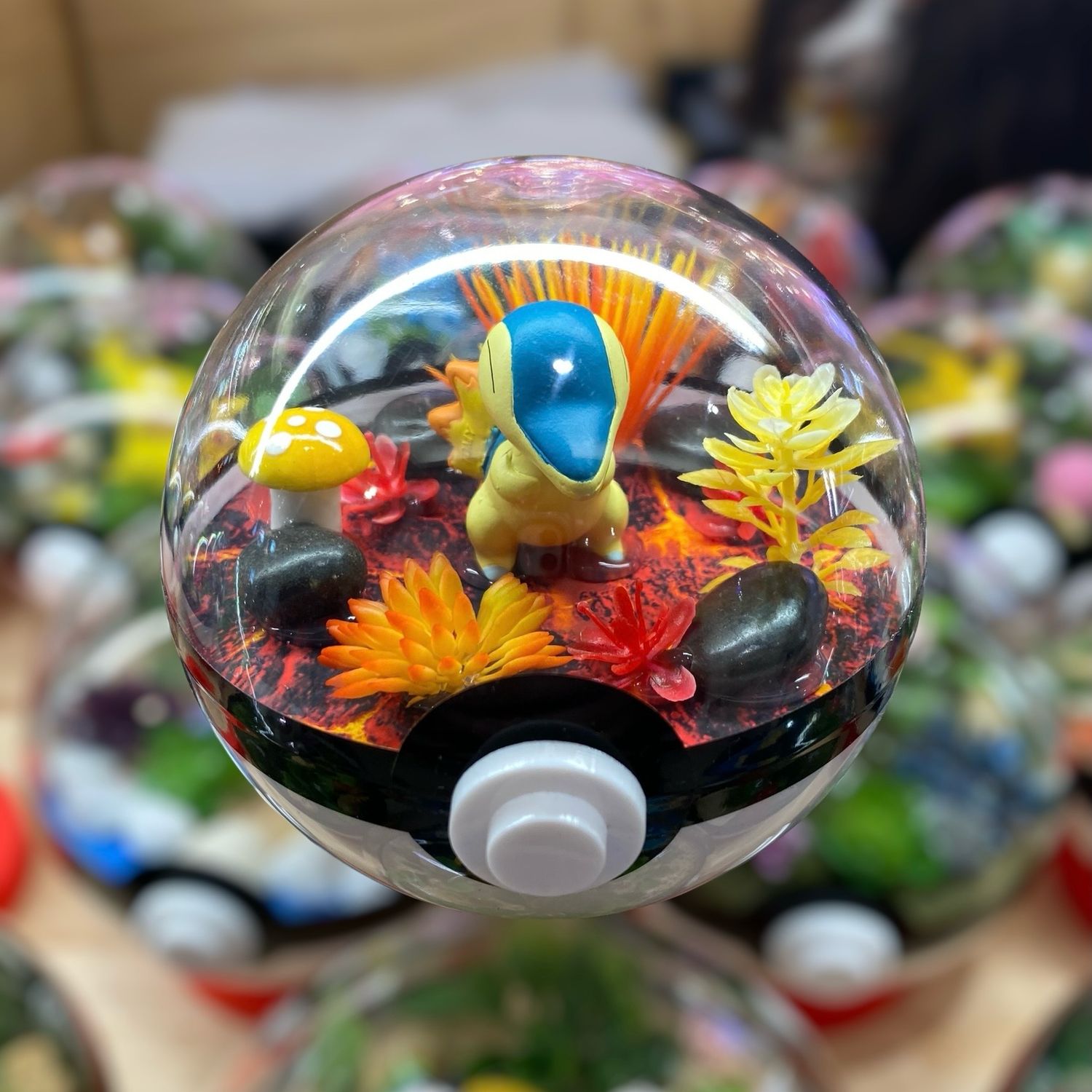 Cyndaquil Terrarium
