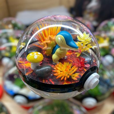 Cyndaquil Terrarium