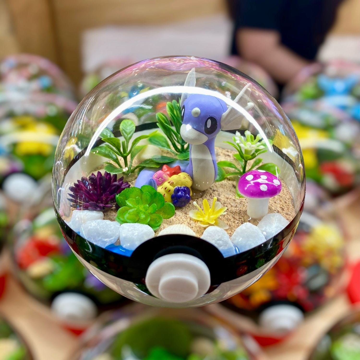Dratini Terrarium