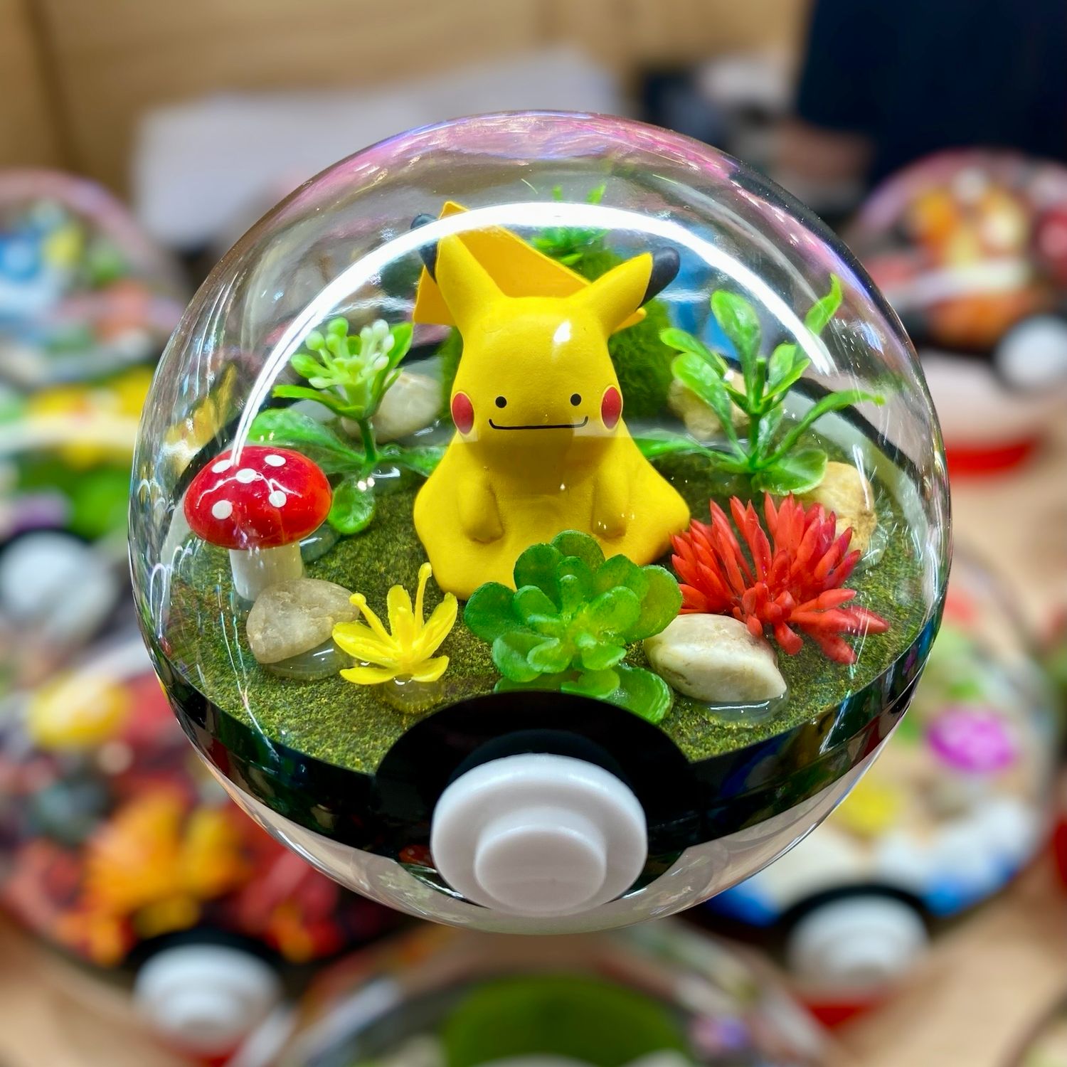 Ditto Pikachu Terrarium
