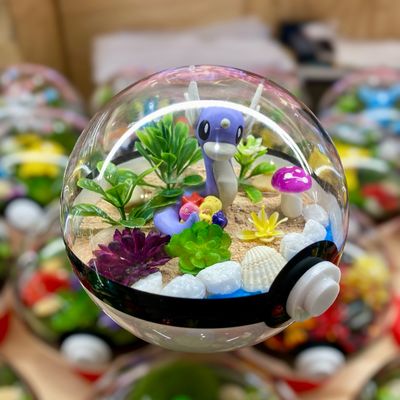 Dratini Terrarium