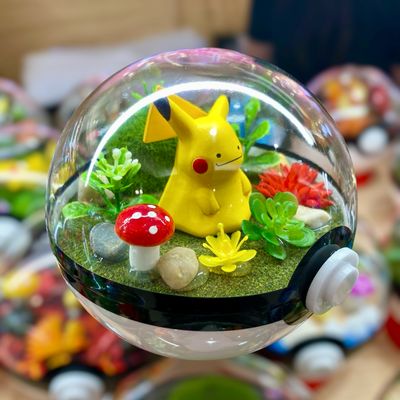 Ditto Pikachu Terrarium