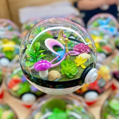 Cresselia Terrarium