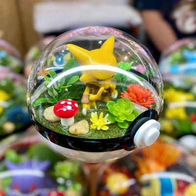 Alakazam Terrarium