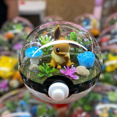 Eevee Terrarium