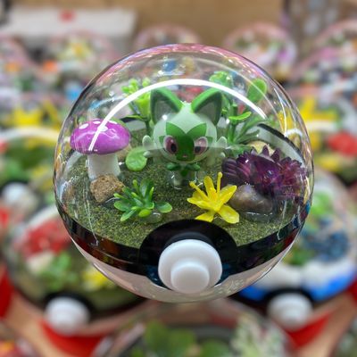 Sprigatito Terrarium