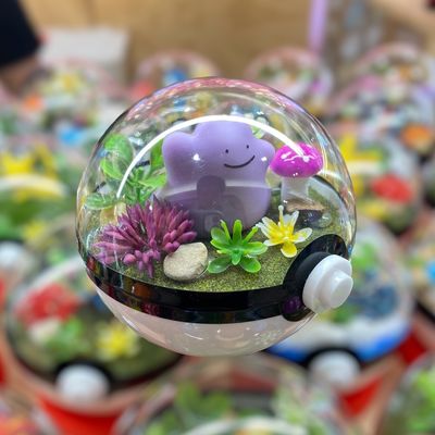Ditto Terrarium