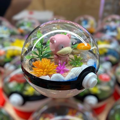 Slopoke Terrarium