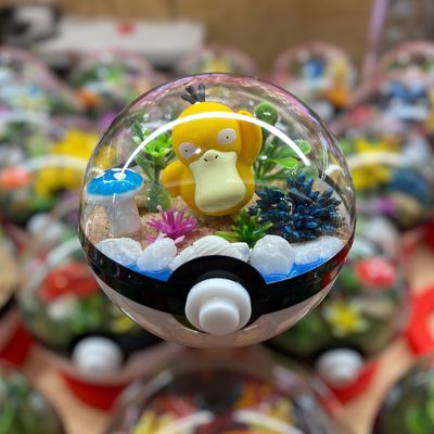 Psyduck Terrarium